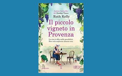 Il piccolo vigneto in Provenza