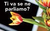 Ti va se ne parliamo?