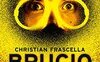 Brucio