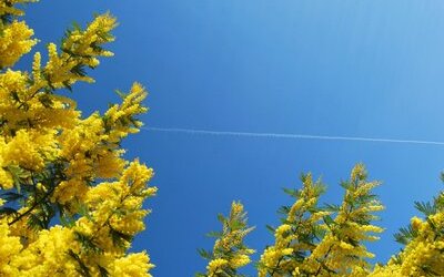 “Febbraio”, la poesia di Ungaretti sulla speranza e la rinascita