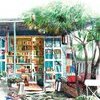 La libreria sulla collina