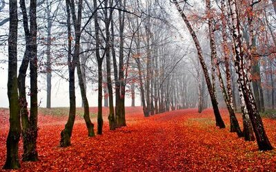 “Novembre” di Vincenzo Cardarelli: una poesia simile a un pianto