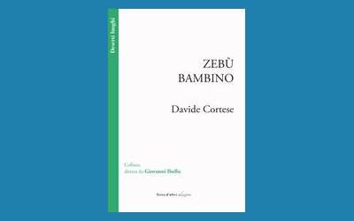Zebù bambino