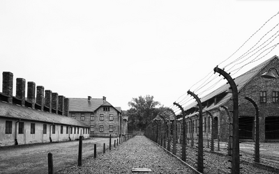 Giorno della Memoria: frasi, poesie e citazioni sulla Shoah