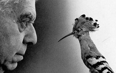 “Il Pirla”, la poesia di Eugenio Montale che non ti aspetti