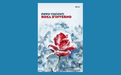 Rosa d'inverno