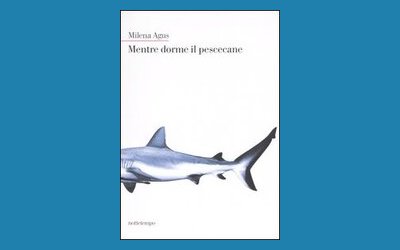 Mentre dorme il pescecane