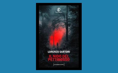 Il nido del Pettirosso
