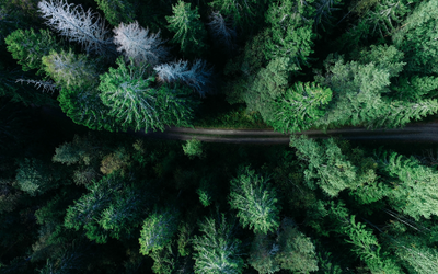 Il rapporto tra uomo e natura in Henry David Thoreau
