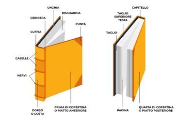 Libro: com'è fatto? Ecco le parti che lo compongono