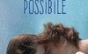 Tutto il cielo possibile