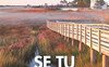 Se tu fossi qui