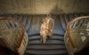 Vanity Fair - La fiera della vanità: stasera in tv la serie tratta dal romanzo