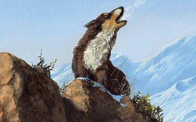 In libreria in grande formato “Il richiamo della foresta” di Jack London