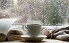 5 libri da leggere in una giornata di pioggia primaverile