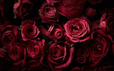 “Quando Dio creò l'amore”: la poesia di Charles Bukowski sull'amor profano