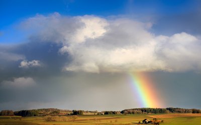 Dove termina l'arcobaleno: la poesia sulla fratellanza di Richard Rive