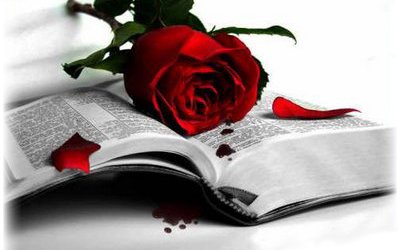Libri per San Valentino: i migliori libri d'amore 2012