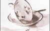 La contessa di ricotta