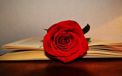 Festa di San Jordi: cos'è e perché si regalano rose e libri