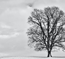“Il primo gennaio” di Eugenio Montale: una poesia per Capodanno