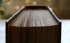 I 100 migliori libri del 2022 secondo il New York Times Books Review