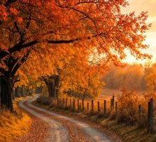 “Ottobre” di Cristina Campo: una poesia d'autunno 