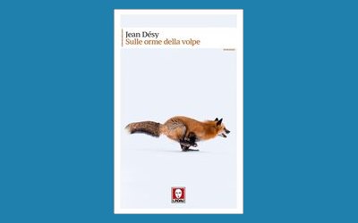 Sulle orme della volpe