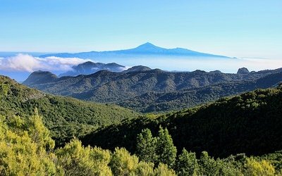 Il Signore delle Mosche diventa un film: quello che sappiamo sulla pellicola