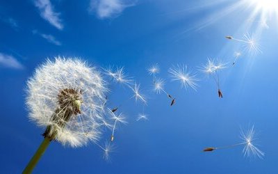 “Credo”: la poesia di Simone Cristicchi inno alla vita e alla bellezza