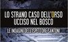Lo strano caso dell'orso ucciso nel bosco