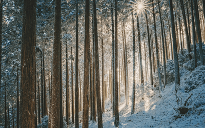 “Sonetto d'inverno”: la poesia di Ada Negri sull'amore che scalda il cuore