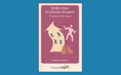 La schiuma dei giorni