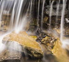 “Acqua”, la poesia di Gabriele D'Annunzio sulla carica vitale della natura