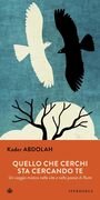 Quello che cerchi sta cercando te. Un viaggio mistico nella poesia e nella vita di Rumi