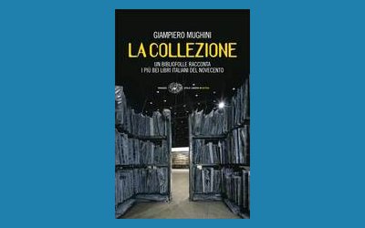 La collezione. Un bibliofolle racconta i più bei libri italiani del Novecento