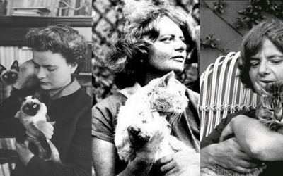 I gatti di Elsa Morante: dal canto per il gatto Alvaro alla poesia per Minna