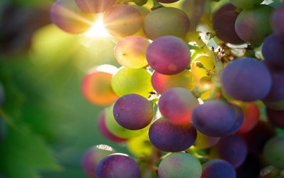 “Settembre”: una poesia di Vittorio Sereni dedicata al primo mese d'autunno