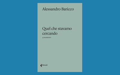 Quel che stavamo cercando. 33 frammenti
