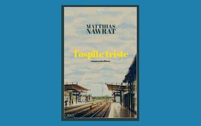 L'ospite triste