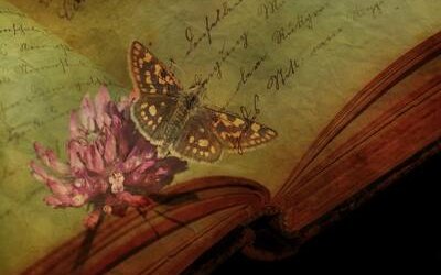 Le passioni più strane degli scrittori che (forse) non conosci