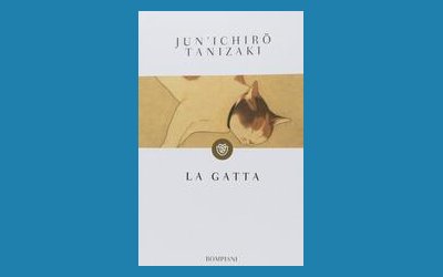 La gatta