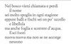 Pane del bosco. 2020 - 2023