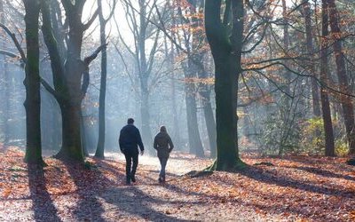 “Creatura” di Antonia Pozzi: significato e analisi della poesia