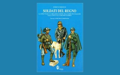 Soldati del Regno. La struttura e l'organizzazione dell'esercito italiano dall'unità alla grande guerra