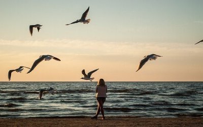 “Cercami”: testo e analisi della poesia di Mila Kačič sull'amore perduto