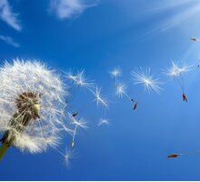 “Credo”: la poesia di Simone Cristicchi inno alla vita e alla bellezza