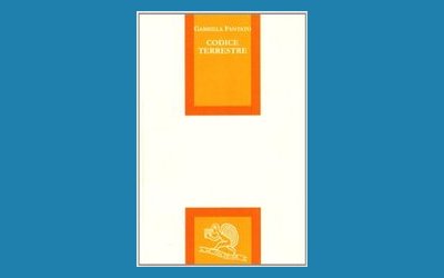Codice terrestre