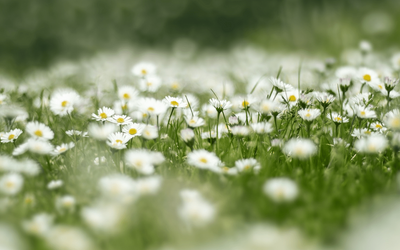 “Prato”, la poesia di Giuseppe Ungaretti sulla rinascita a primavera