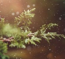 “È Natale”: l'augurio in poesia di Madre Teresa di Calcutta